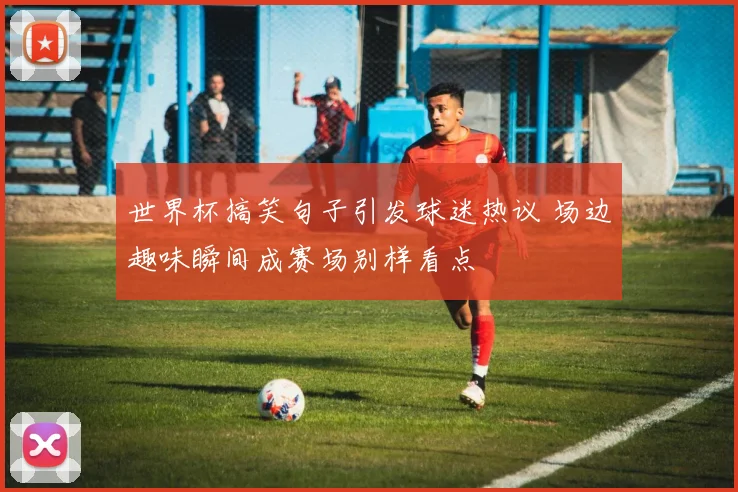 世界杯搞笑句子引发球迷热议 场边趣味瞬间成赛场别样看点