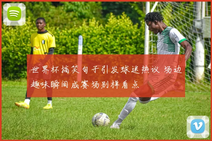 世界杯搞笑句子引发球迷热议 场边趣味瞬间成赛场别样看点