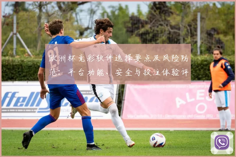 欧洲杯竞彩软件选择要点及风险防范：平台功能、安全与投注体验评估