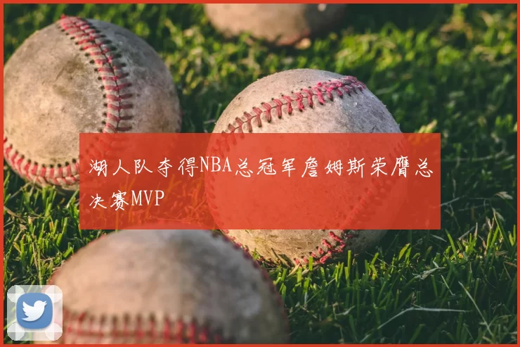 湖人队夺得NBA总冠军詹姆斯荣膺总决赛MVP