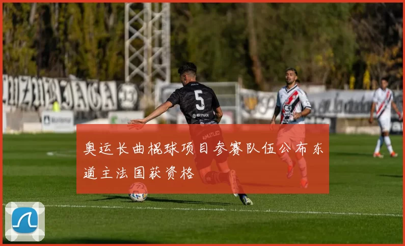 奥运长曲棍球项目参赛队伍公布东道主法国获资格