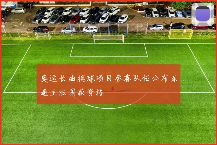 奥运长曲棍球项目参赛队伍公布东道主法国获资格