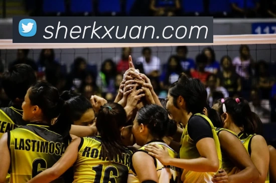 新爱体育官方网站 - 新爱体育(中国)服务体系